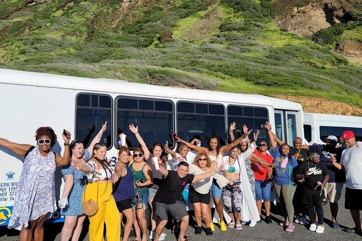Oahu Guided Circle Island Tour, Swim w/ Turtles, Dole, Blowhole - Primary Image