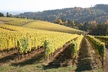 Small Group: Willamette Valley Wine Tour From Portland (Tasting Fees Included) - Second Medium
