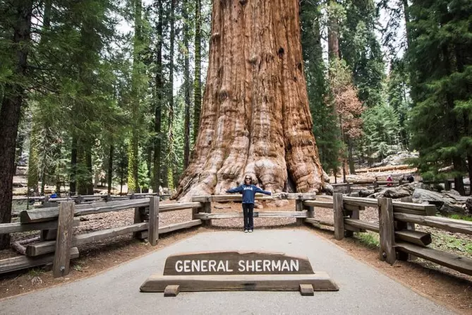 Private Guided Hiking Tours - Sequoia and Kings Canyon National Parks - Primary Image