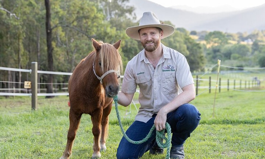 Image 6: Trevena Glen Farm Animal Experience