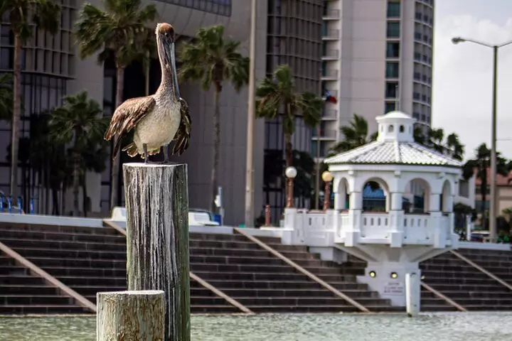 Self Guided Scavenger Hunt: Sparkling City by the Sea
