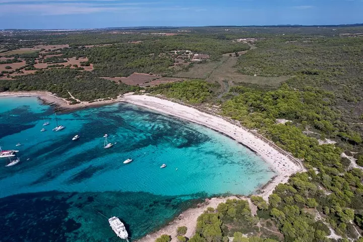 Excursión en barco durante todo el día, comida y traslado incluidos.