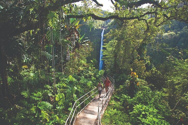 Volcano Adventure: Hilo Sightseeing w/ Optional Helicopter Tour