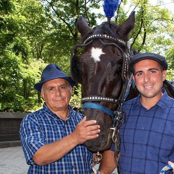 central park carriage ride groupon