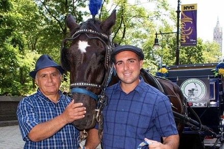 central park carriage ride groupon