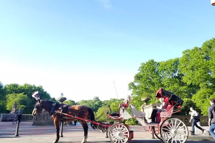 Full loop Private Horse Carriage Ride in Central Park 45 Minutes