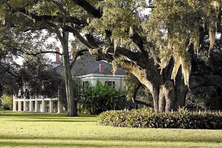 Destrehan Plantation and Swamp Tour from New Orleans