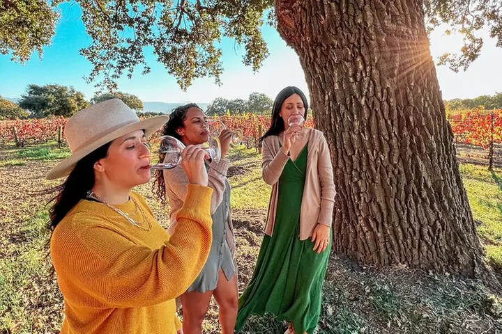 Santa Ynez Wine Shuttle