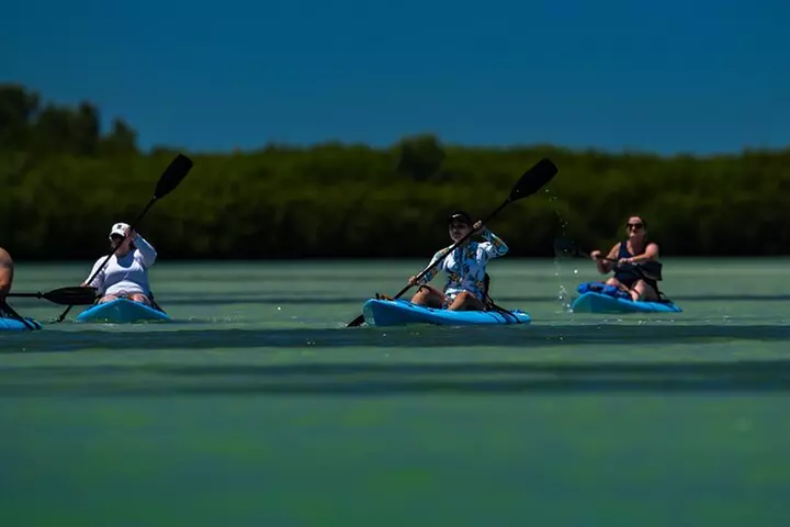 Kayak Tour at Shell Key with Capt Yak - Primary Image