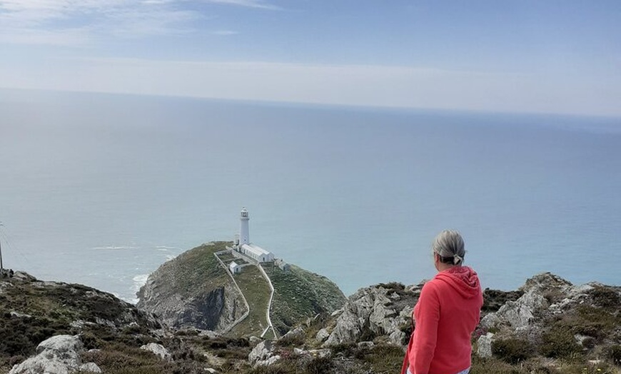Image 6: Private Guided Tour of Southern Coast of Isle of Anglesey