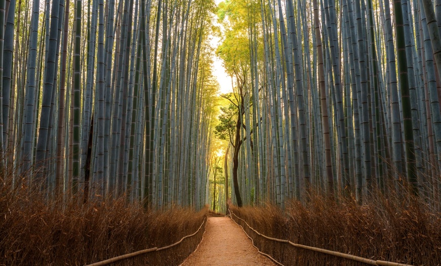 Image 9: ✈ JAPAN | Von Osaka nach Tokio - Rundreise Kyoto - Hakone - Tokio 4...