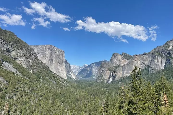 Yosemite National Park & Sequoias Private Tour from San Francisco
