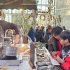 Image 12: Guided Borough Market Food Experience