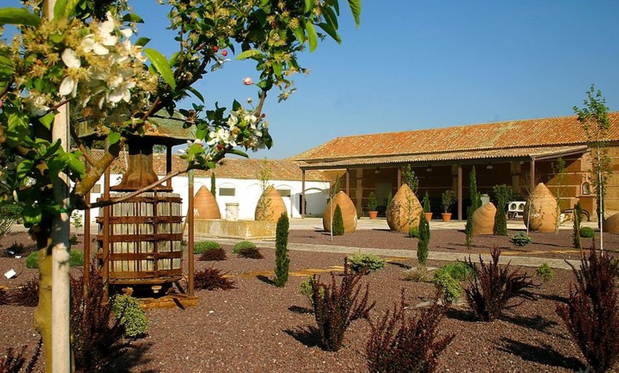 Image 16: Tour de la Ciudad de Toledo y Visita a Bodega con Cata de Vinos des...