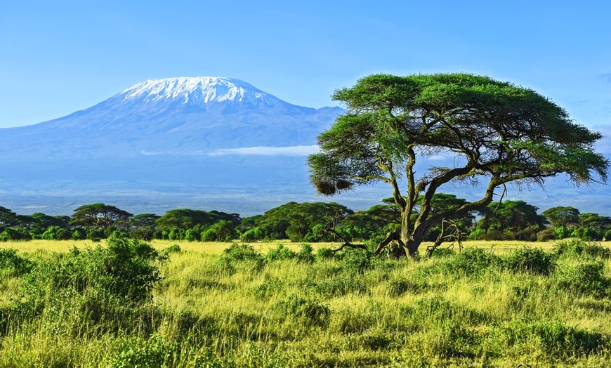 Image 6: ✈ KENYA | Mombasa - Private tour: Kenya's captivating landscapes, b...