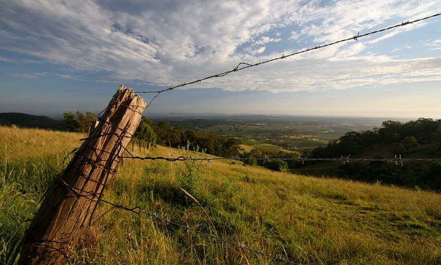 Image 5: Private full-day wine tour in the Hunter Valley