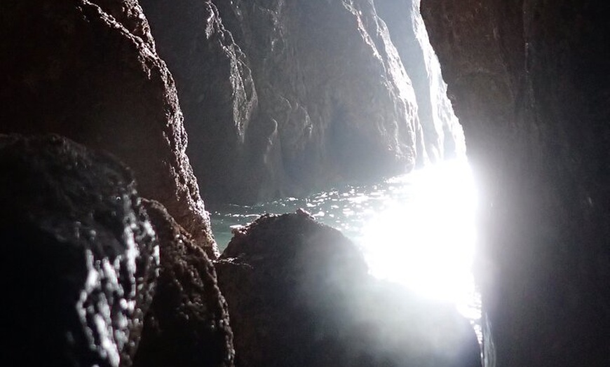 Image 20: Tenby Coasteering Adventure with expert guides