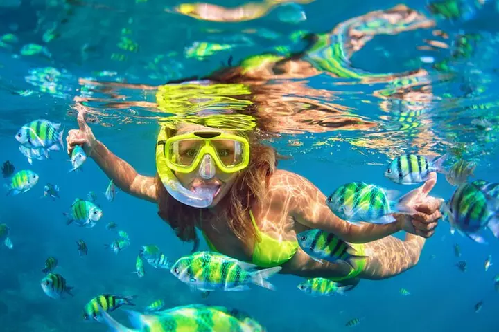 Kona Shore Excursion: Wild Dolphin Reefs Snorkel and Sea Caves - Primary Image