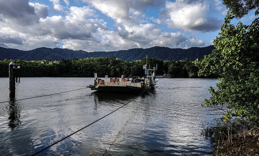 Image 9: Total Daintree Experience Tour from Port Douglas