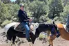Sunset Horseback Ride With BBQ Dinner in Cool Mountain Las Vegas