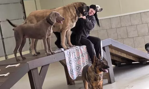 $17 For 1 Full Day Of Dog Daycare (Reg. $34)