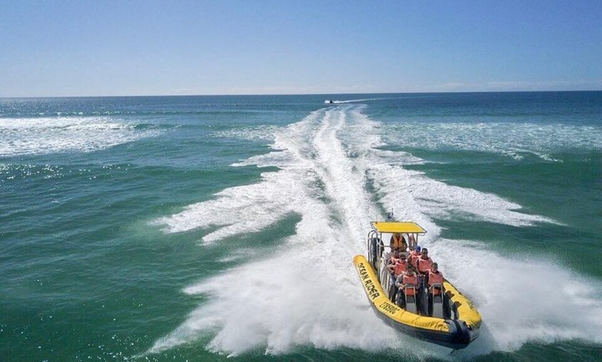 Image 3: Noosa Oceanrider - Ocean Adventure & Noosa National Park tour