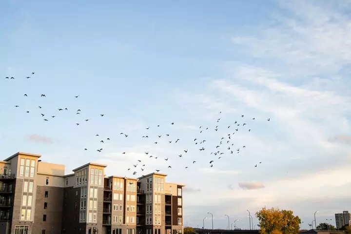 Self-Guided Rochester Scavenger Hunt: Big Little Rochester