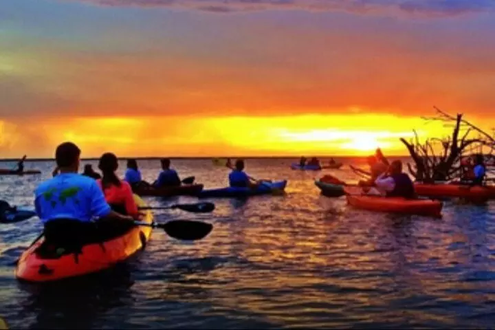 Cocoa Beach Night Time Bioluminescence Kayak Tour