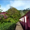 Image 6: ✈ MADEIRA | Camara de Lobos - Quinta da Serra 5*, 3 notti - Nel cuo...