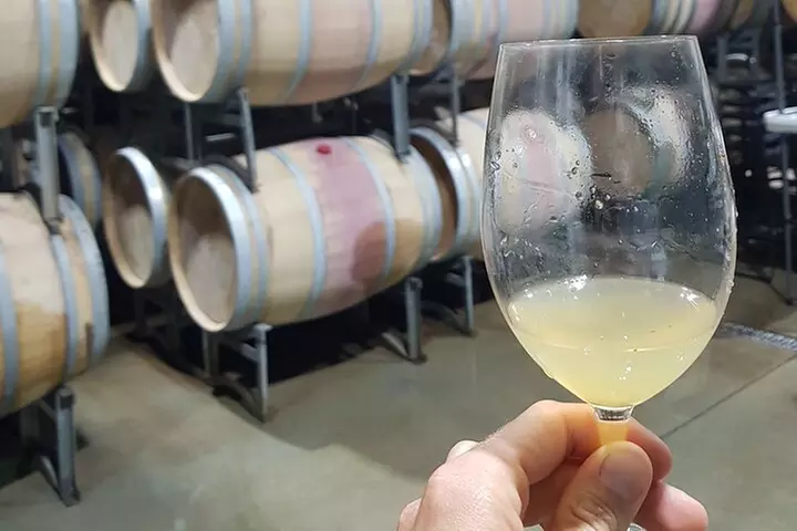 Hidden Gems: Boutique Full-Day Wine, Farm & Lunch Tour