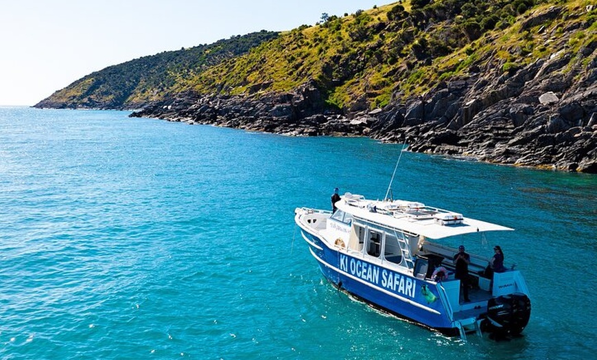 Image 2: Kangaroo Island 75-Minute Coastal Safari