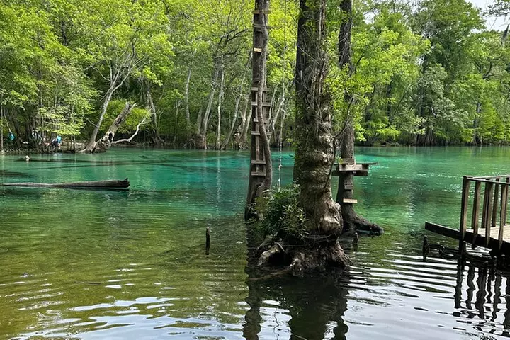 VIP ECO adventure to Cypress Springs by Paddle Board or Kayak - Primary Image