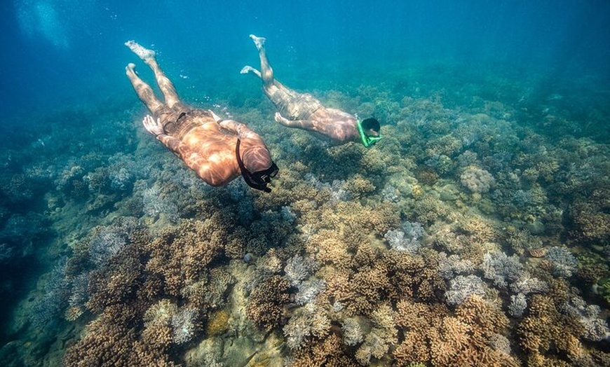 Image 8: Full-Day Whitsunday Sail and Snorkel Adventure with Lunch