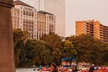 Guided Sunset Bat Kayak Tour in Austin - Second Medium