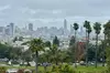 San Francisco Private City Tour in New EV Volkswagen Van