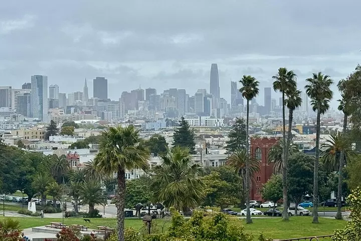 San Francisco Private City Tour in New EV Volkswagen Van - Primary Image