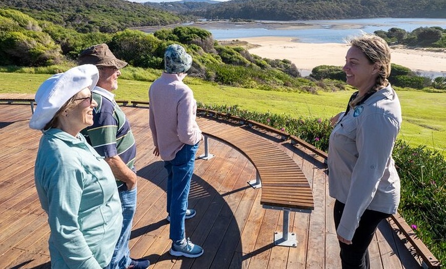 Image 12: Tour from Eden to Merimbula Wetlands Wildlife and Coastline