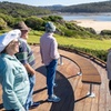 Image 12: Tour from Eden to Merimbula Wetlands Wildlife and Coastline