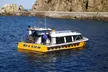 Sea View Glass Bottom Boat Excursion - Image 2