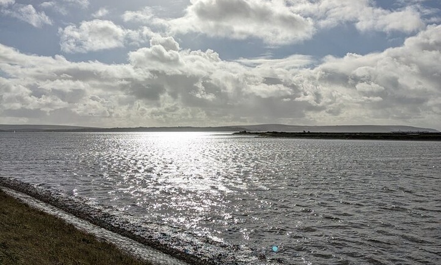 Image 2: Lymington Wildlife Discovery Walk