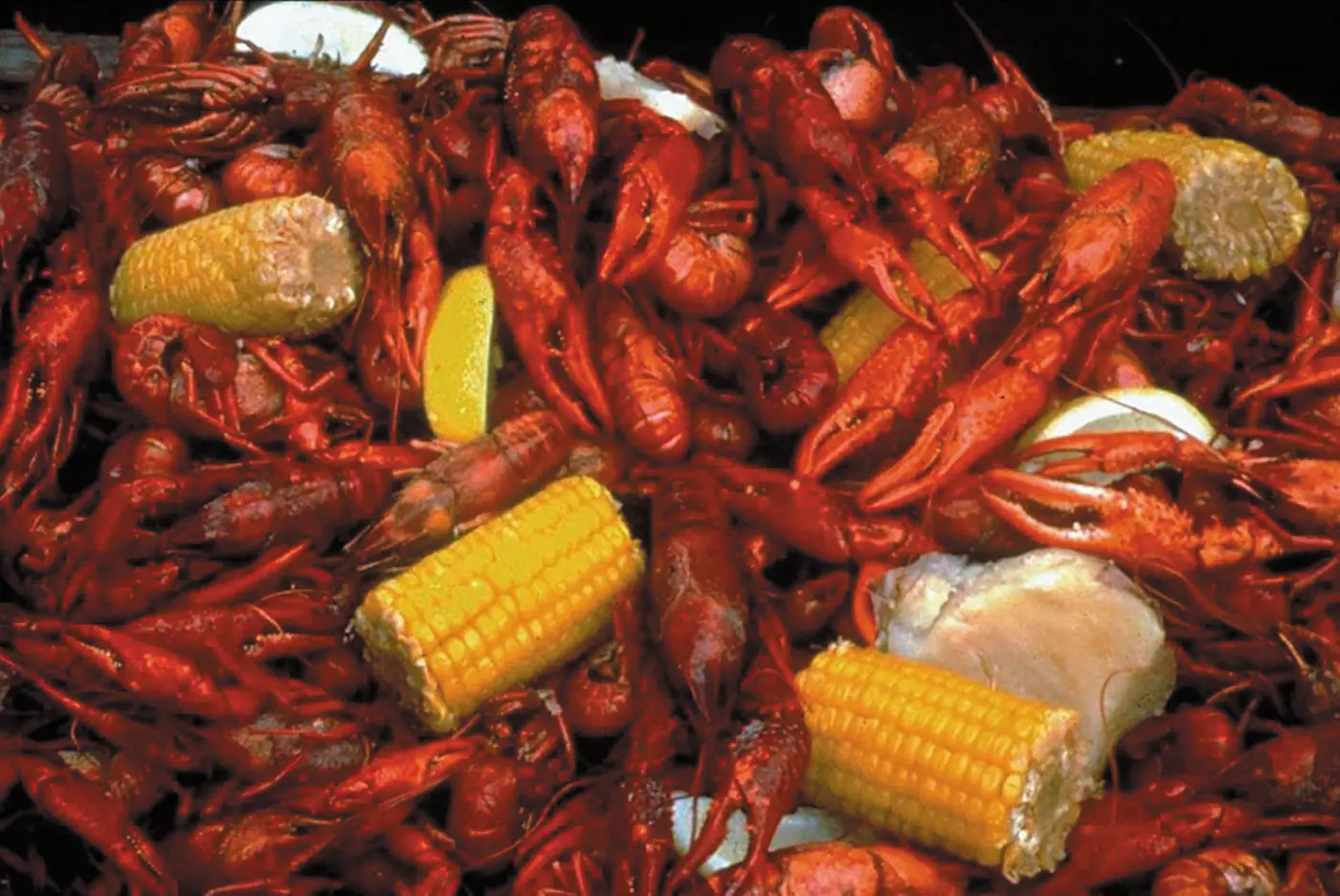 $15 For $30 Worth Of Seafood Dining - Primary Image