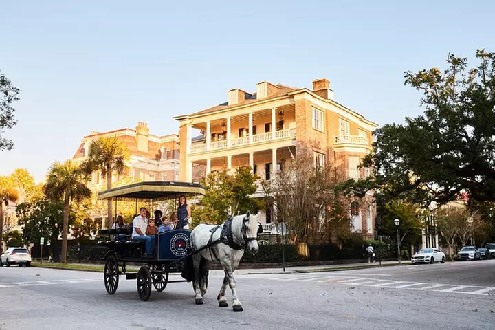 Historic Charleston Horse-Drawn Carriage Tour – Sight-Seeing Tour - Primary Image