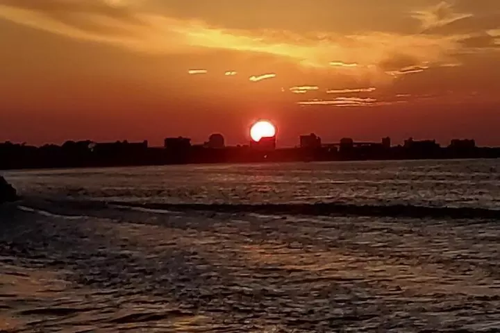 2 Hours Swim with the Dolphins in Panama City