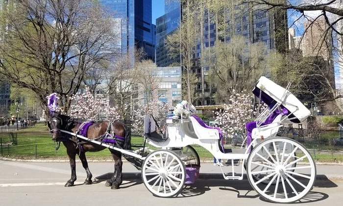 central park carriage ride groupon