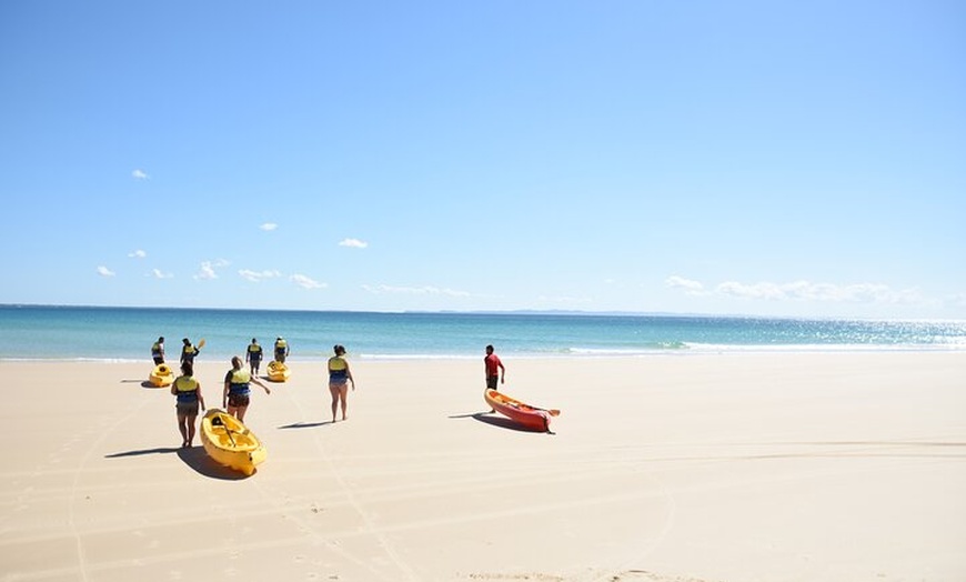 Image 2: Epic Rainbow Beach Dolphin Kayak and 4WD Adventure Tour