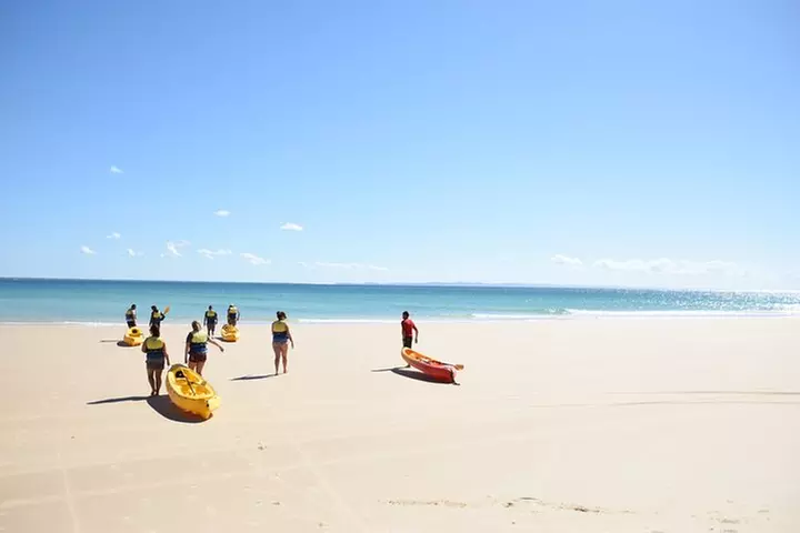 Rainbow Beach: Dolphin & Wildlife Ocean Kayak & Beach 4WD Tour
