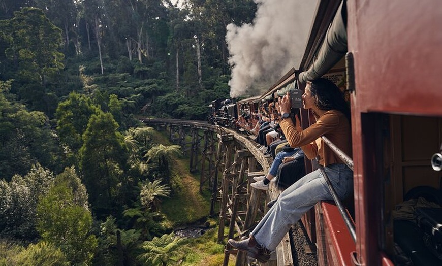 Image 3: 1 day Puffing Billy Steam Train and Wildlife Tour from Melbourne