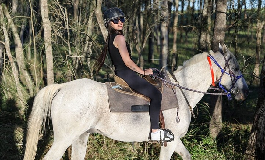 Image 13: Hunter Valley Horse Ride - 90 Minutes -Vineyard & Mountain Views