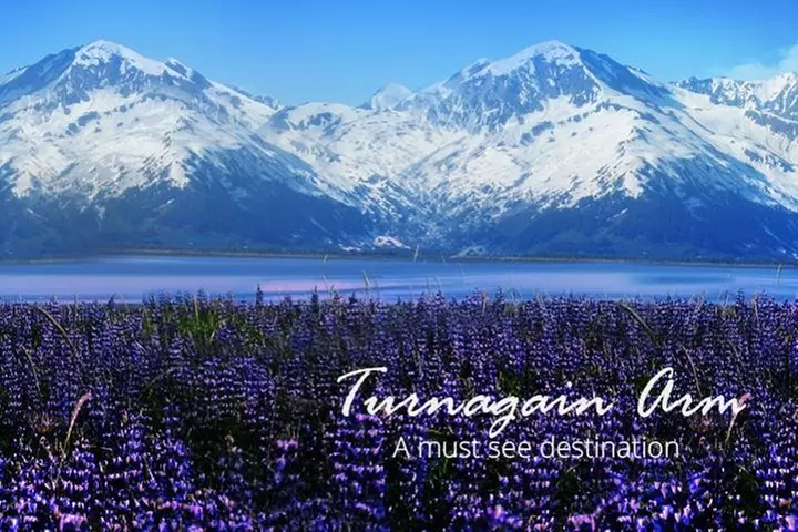 Stunning Turnagain Arm Tour: "A Must See Destination"
