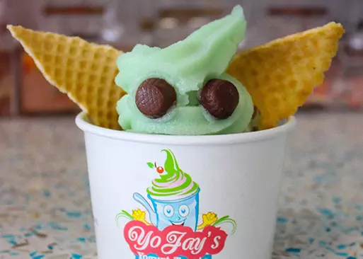 5% Cash Back at YoJay's Yogurt Treats